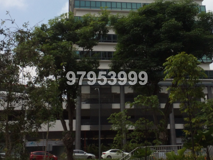 TRIVEX (D13), Factory #43885072